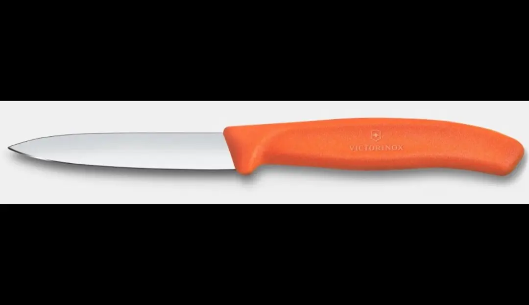 Victorinox Swiss Classic Schilmesje 8cm - Oranje