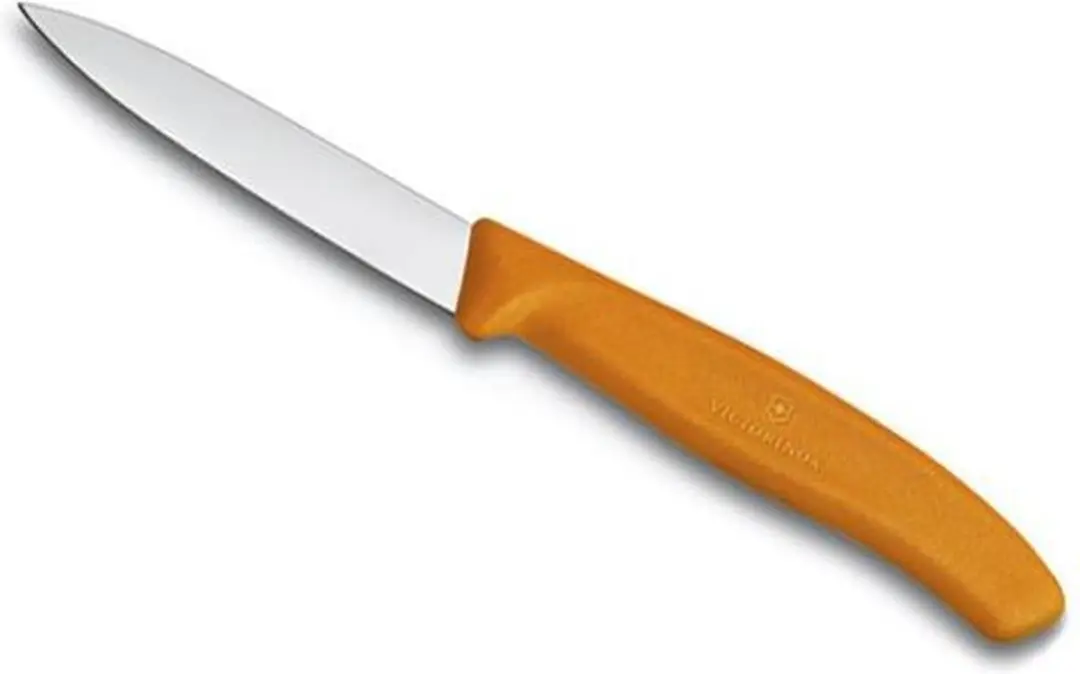 Victorinox Swiss Classic Schilmesje 8cm - Oranje