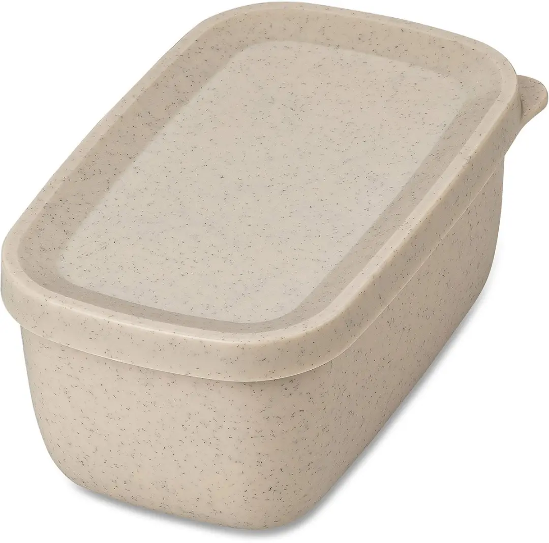 Koziol Candy S Lunchbox