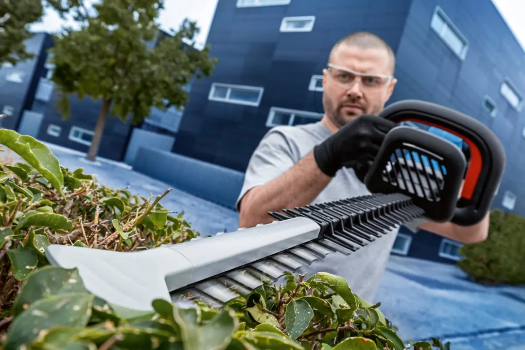 Bosch Professional GHE 18V-60 Accuheggenschaar