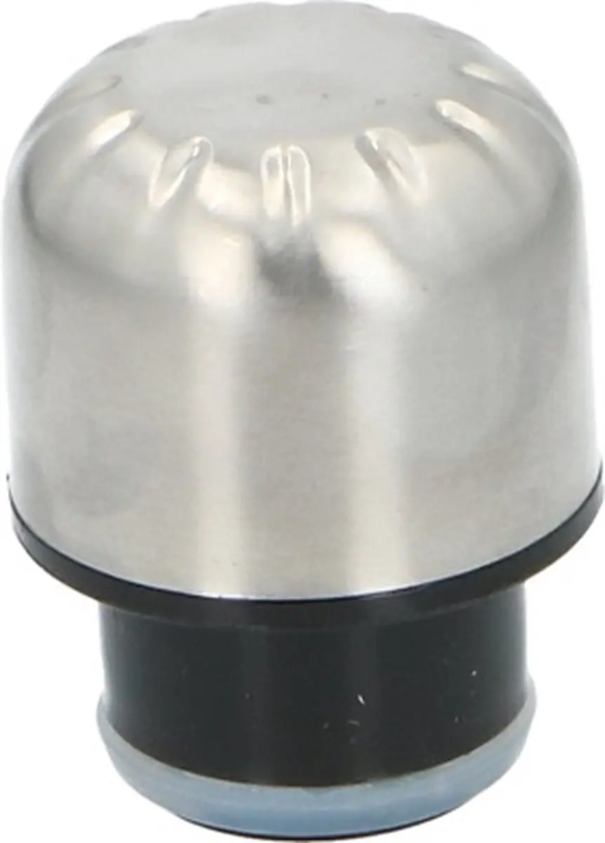 Alpina Isolerende Drinkfles 500ml - RVS - Zilver