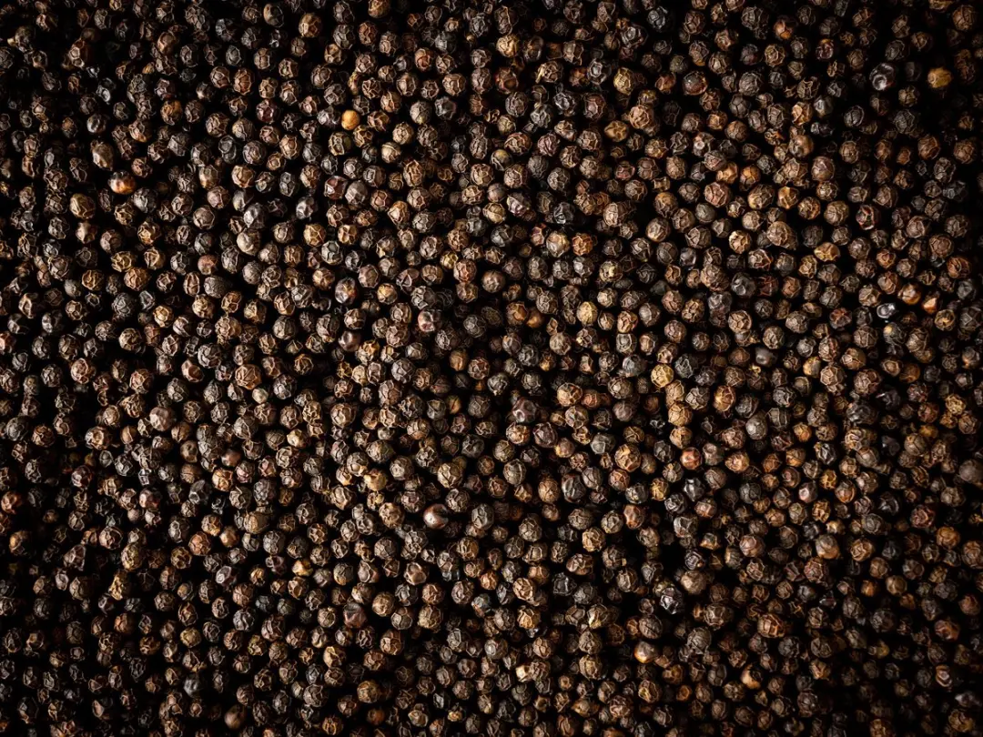 Peugeot Kampot Zwarte Peper 60g