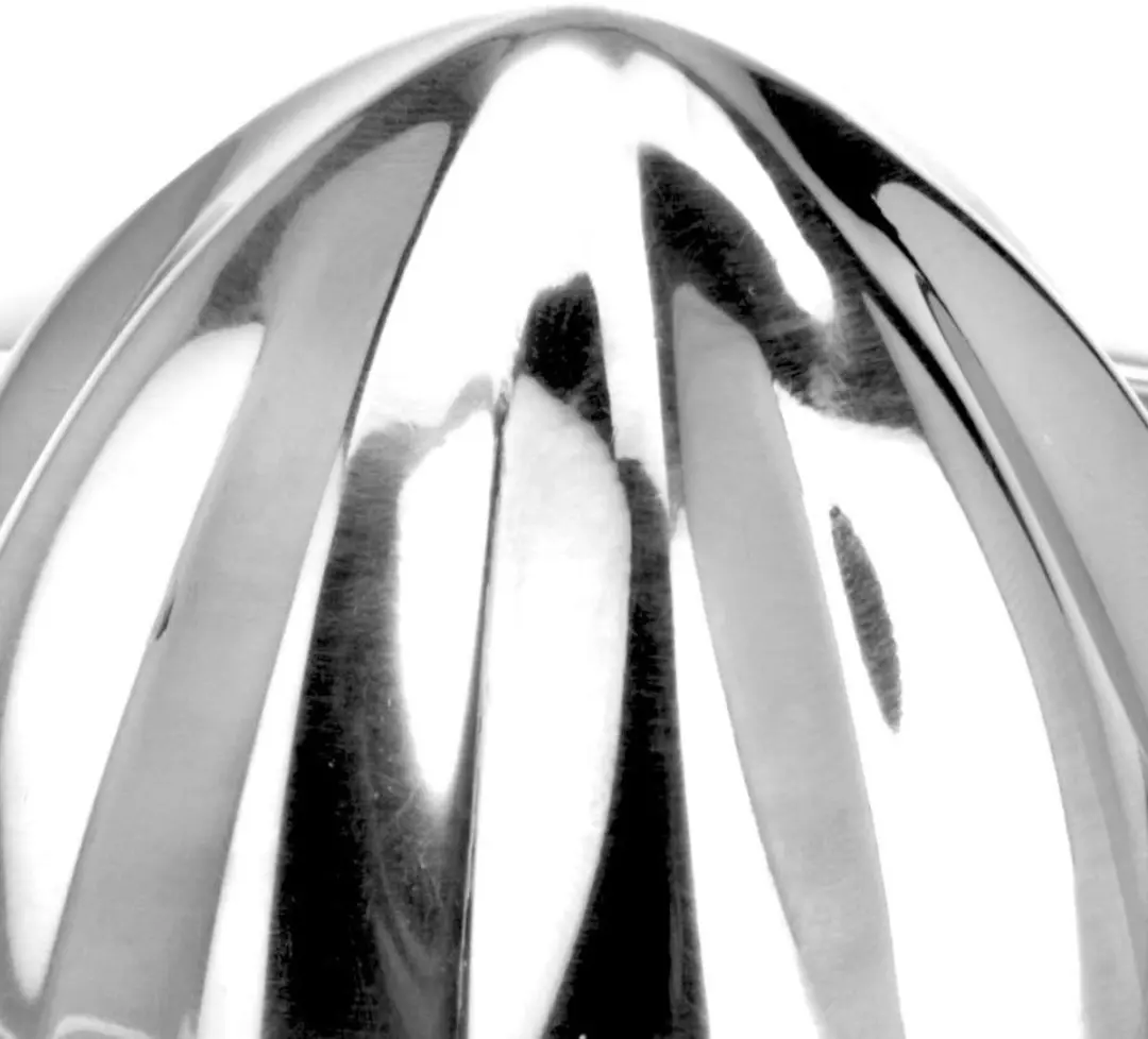 Excellent Houseware Citruspers RVS - 16cm - Zilver