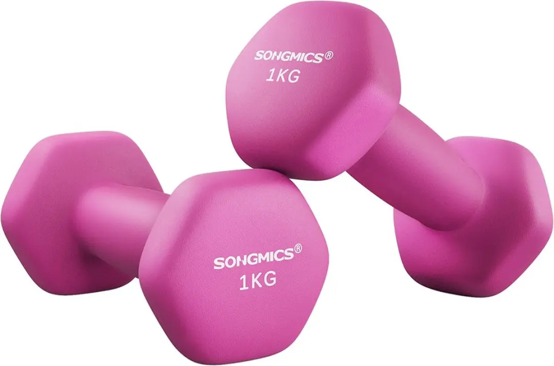 Songmics Dumbbellset Roze