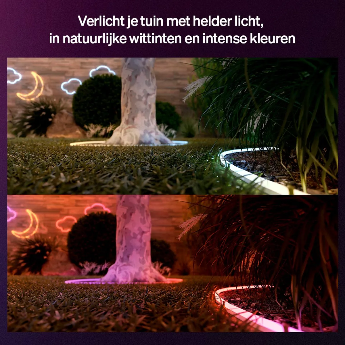Philips Hue Neon LED strip voor buiten 10 m, Nauwkeurige kleurovergangen van Chromasync™ Helder, echt wit licht 1100 lumen