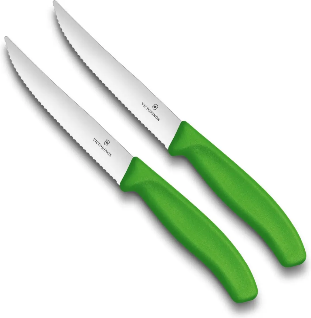 Victorinox Swissclassic Steakmessenset 2-delig Groen