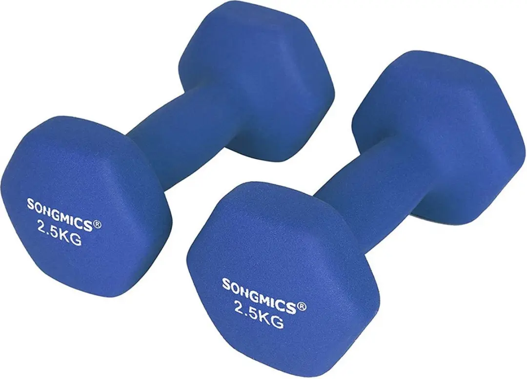 Songmics Haltergewichtset 2x2.5 kg - Paars