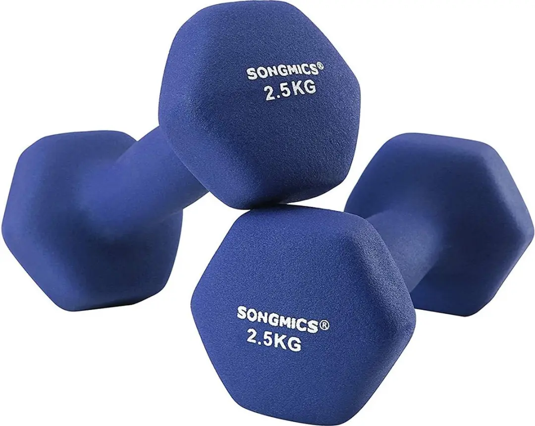 Songmics Haltergewichtset 2x2.5 kg