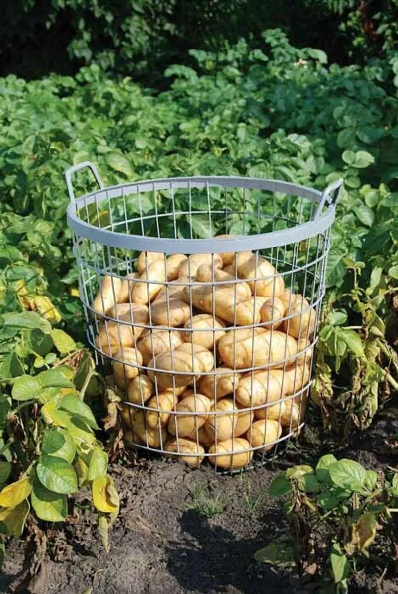 Esschert Design Aardappeloogstmand - Metaal Zilver