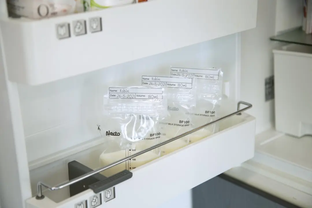 Alecto BF100 Moedermelk Bewaarzakjes 220ml - 100 Stuks - afbeelding 6 van 6