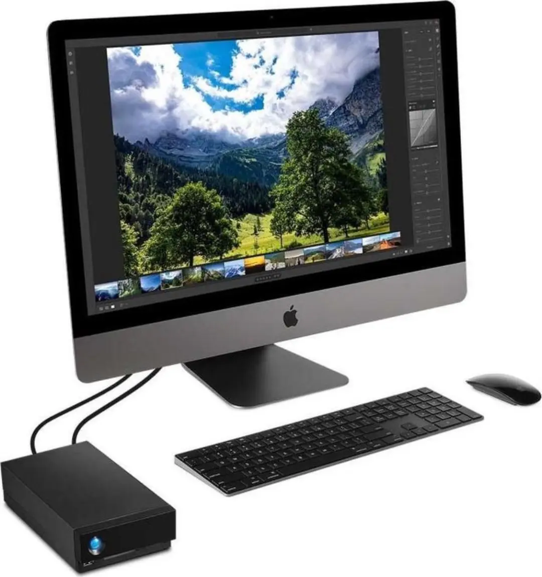LaCie 1big Dock Thunderbolt 3 Externe Harde Schijf 10TB - Zwart