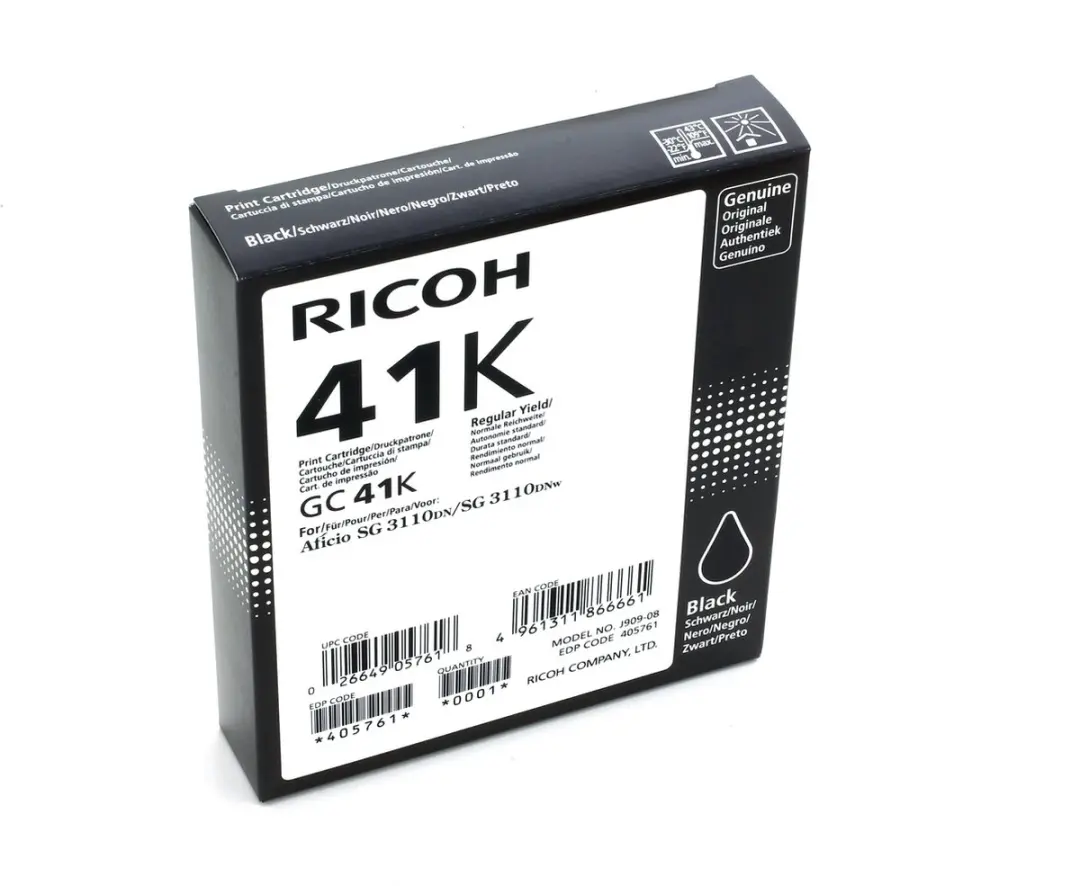 Ricoh GC41 Zwart Inktcartridge