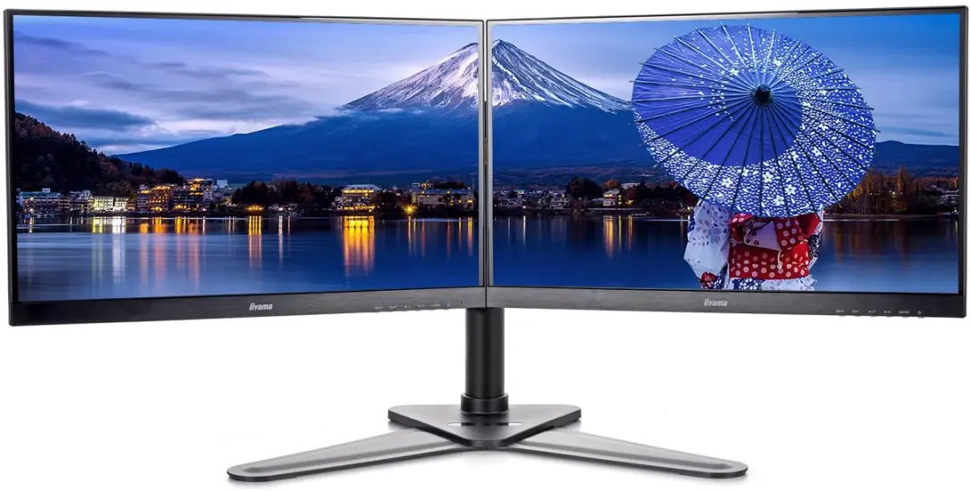 iiyama DS1002D-B1 Monitorsteun 30" - Zwart