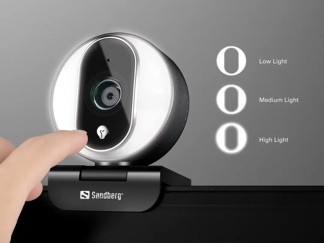 Sandberg Streamer USB Webcam Pro 134-12 - Zwart/Zilver