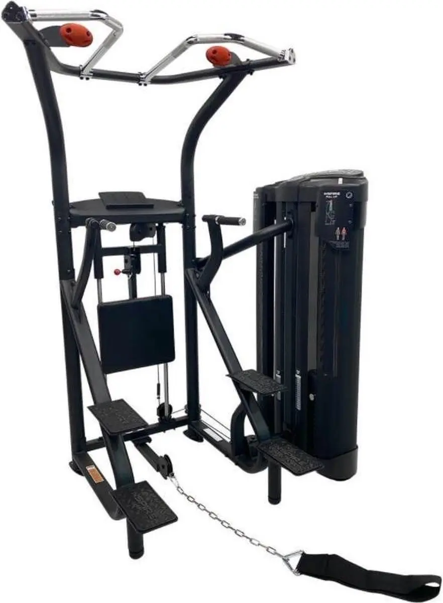 Inspire DUAL Station Chin Up