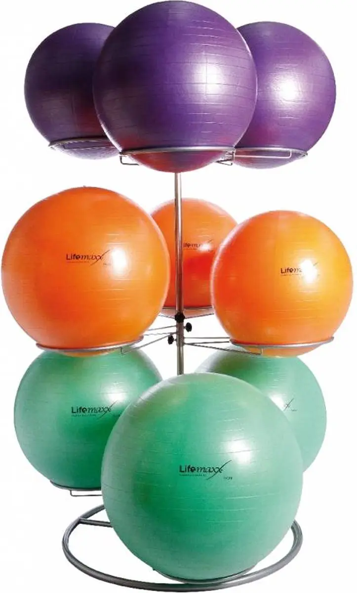 LifeMaxx Opbergrek Gymballen 9 Stuks - Zwart