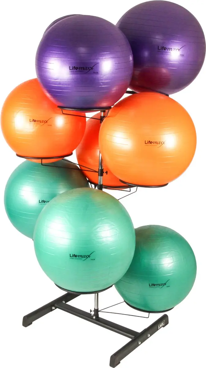 LifeMaxx Opbergrek Gymballen 9 Stuks