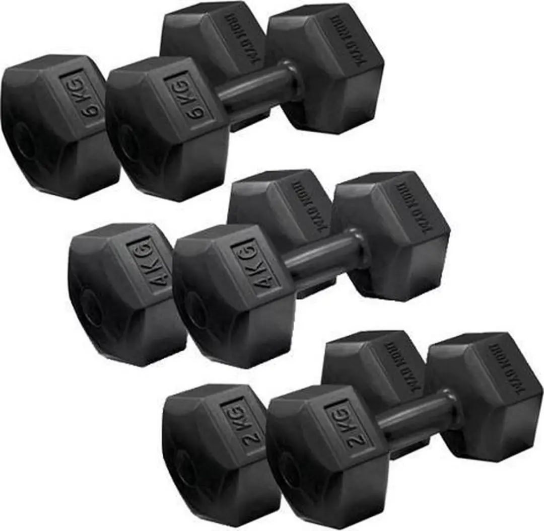 Iron Gym Dumbbell Set 2x 2kg Gietijzer - Zwart