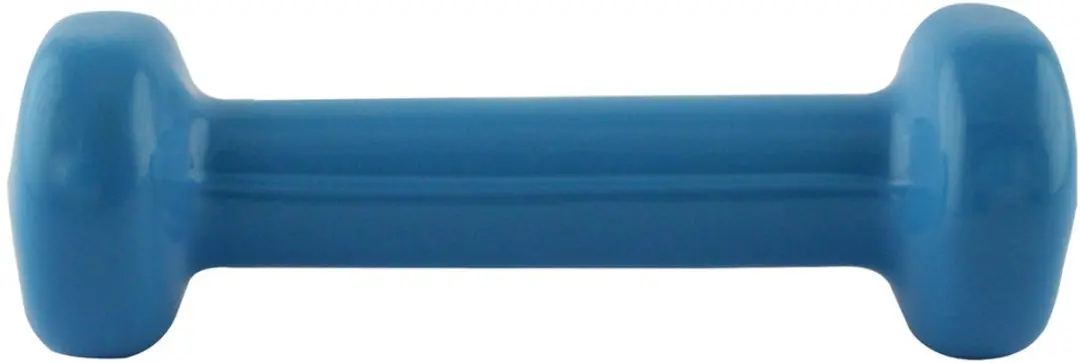 HMS Gietijzeren Dumbbell 0,5 kg - Blauw