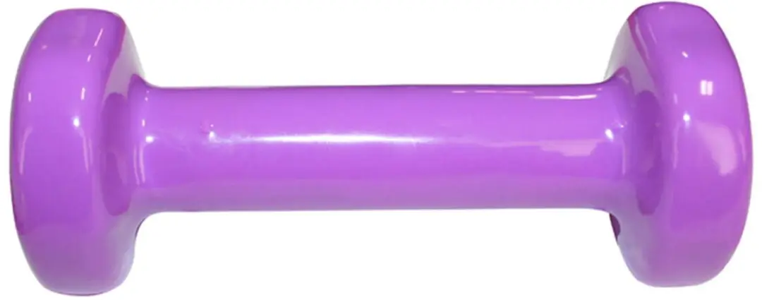 HMS Gietijzeren Dumbbell 0,5 kg - Blauw - afbeelding 6 van 6