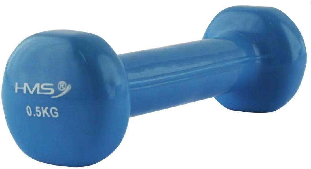 HMS Gietijzeren Dumbbell 0,5 kg - Blauw