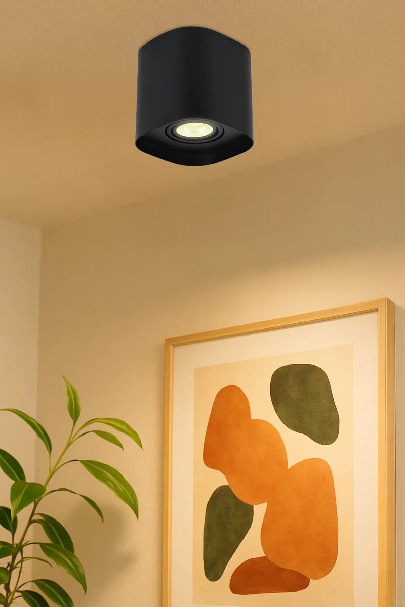 Eglo Arenzano Plafondlamp GU10 - 1 Lichtpunt - Zwart
