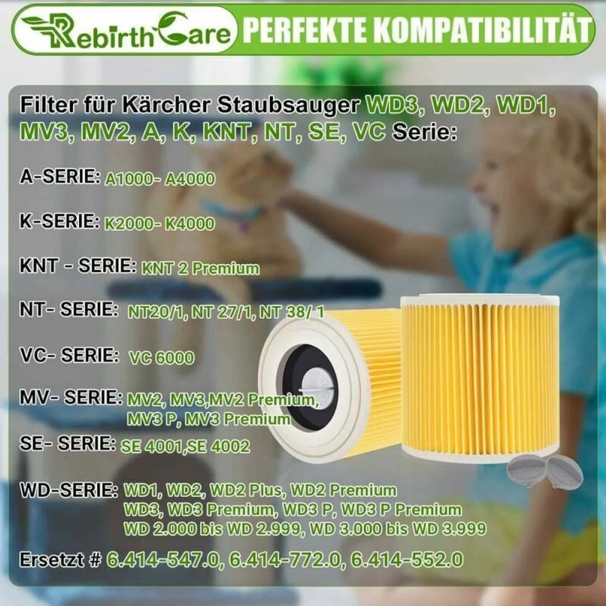 Kärcher Patroonfilter 6.414-552.0 - 4 Stuks