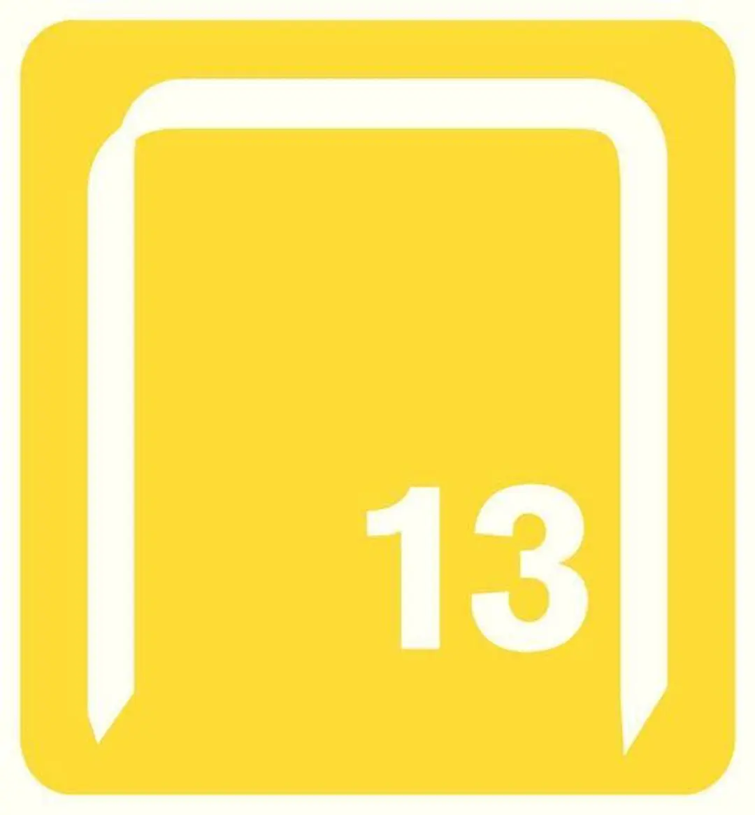 Rapid Nr 13 Fijndraadnieten 4mm