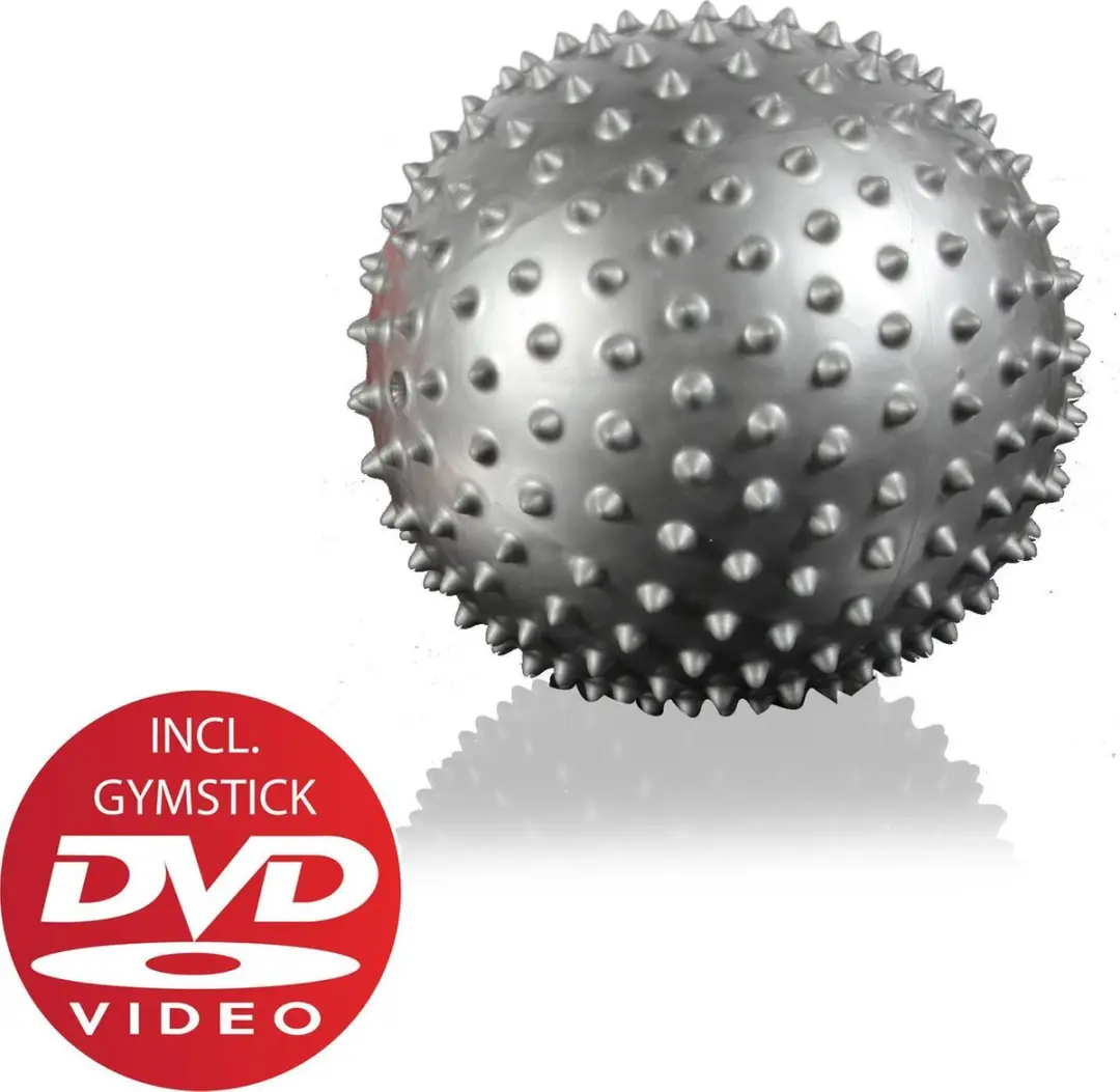 Gymstick Pilatesbal 20cm - met Trainingsvideo