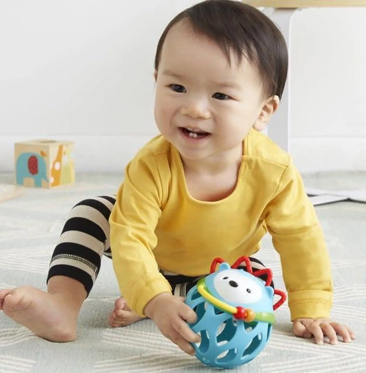 Skip hop Zoo Egel met rinkelende ballen