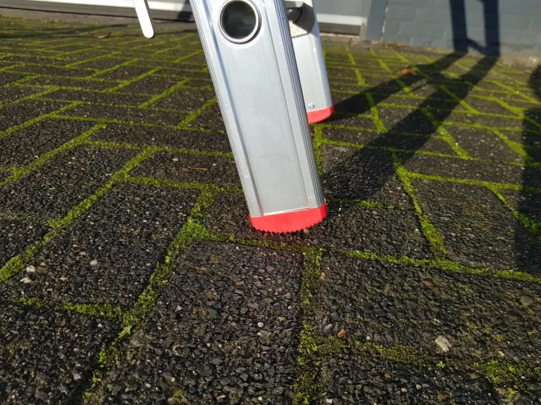 Little Jumbo Ladderdoppen 75mm - Per Paar