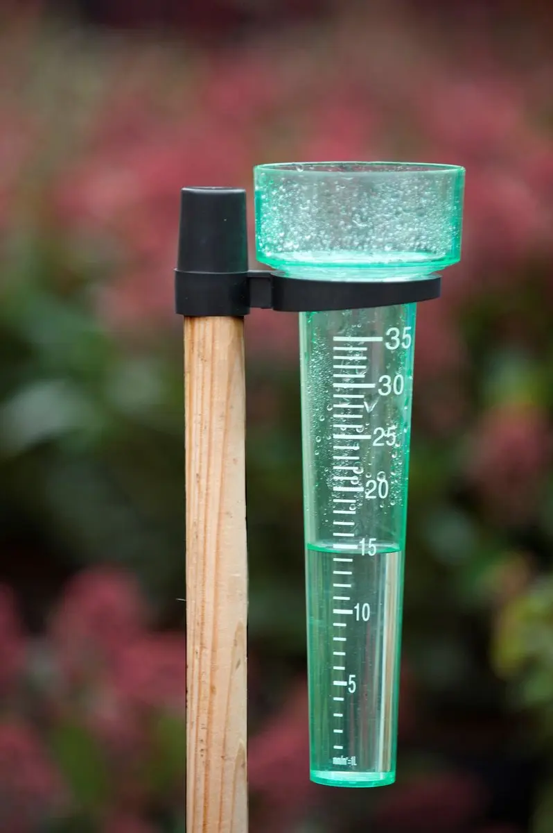 Nature Regenmeter Ø8.5x24.5cm Transparant