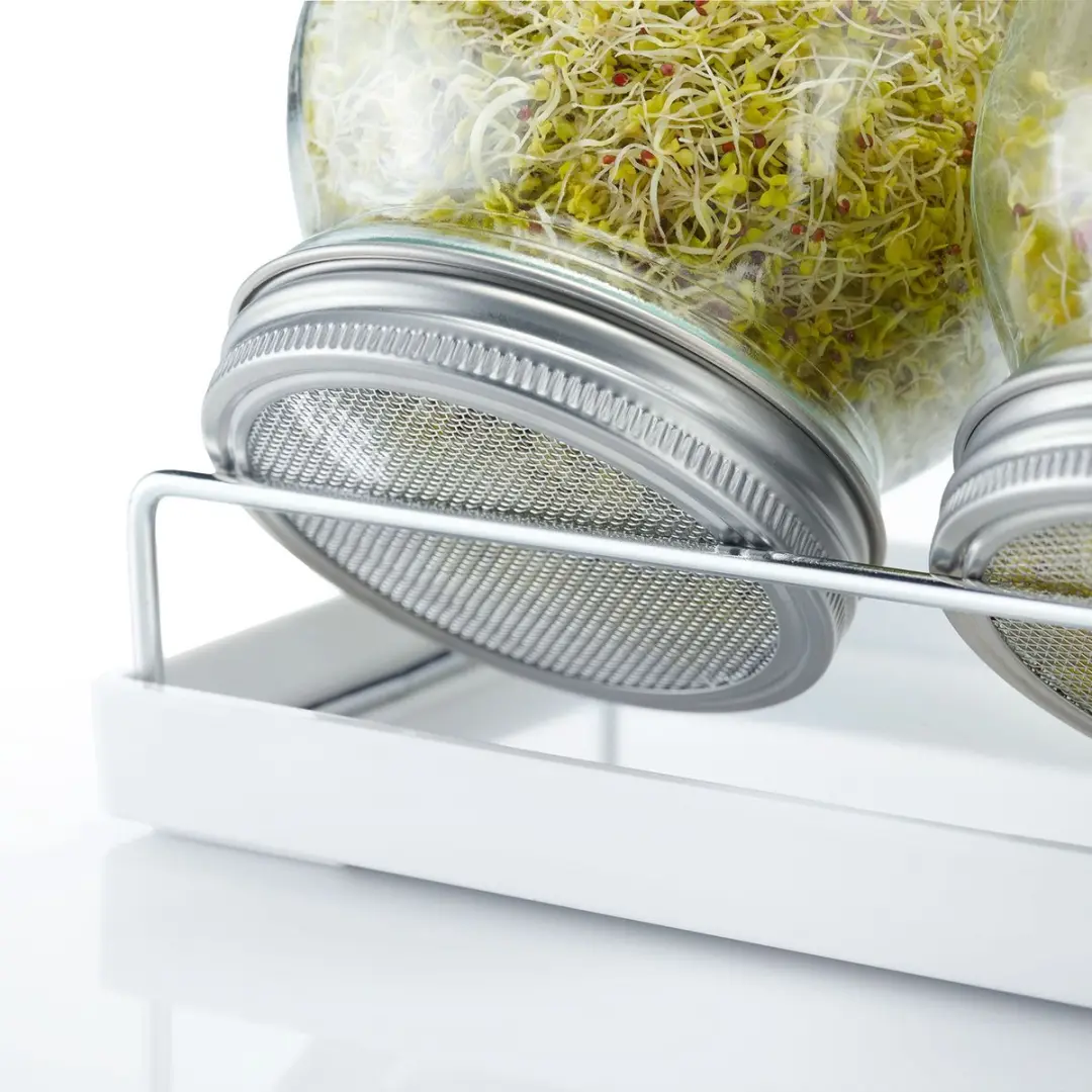 Westmark Sprout Jar 66772260 - 2x 950ml Kiempot Set - Transparant/Zilver/Zwart - afbeelding 2 van 6