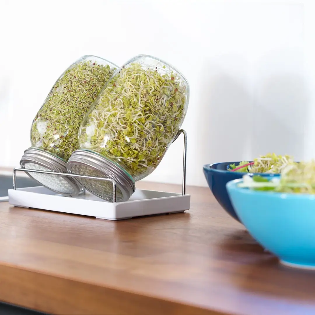 Westmark Sprout Jar 66772260 - 2x 950ml Kiempot Set - Transparant/Zilver/Zwart - afbeelding 6 van 6