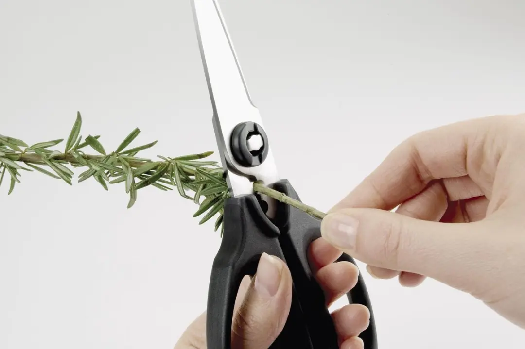 OXO Good Grips Keukenschaar - Afneembare bladen - Zwart