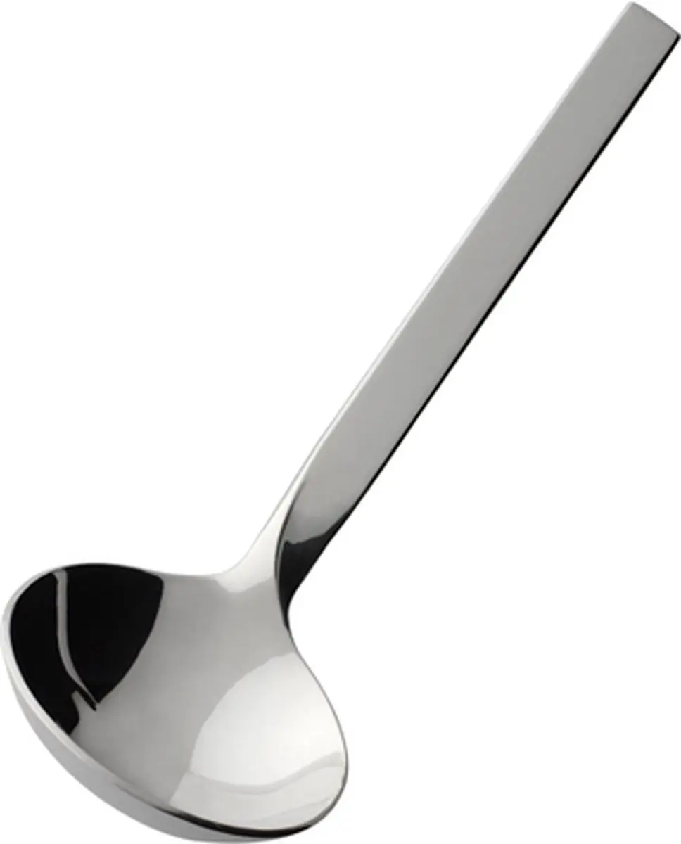 Villeroy & Boch NewWave Sauslepel
