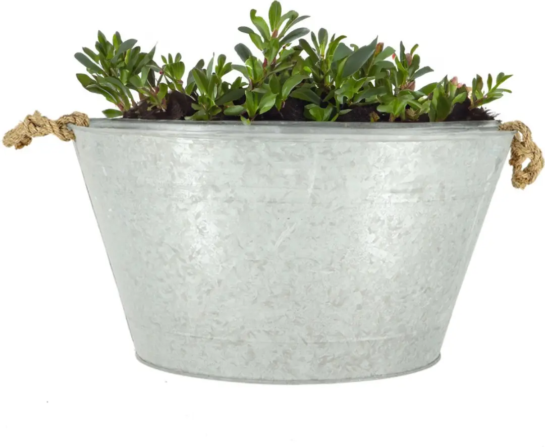 Esschert Design Zink Plantenpot 22L - 50x36x27cm - Zilver