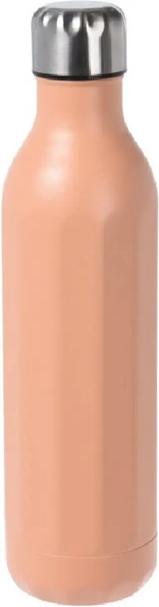 Excellent Houseware Isoleerfles 500ml