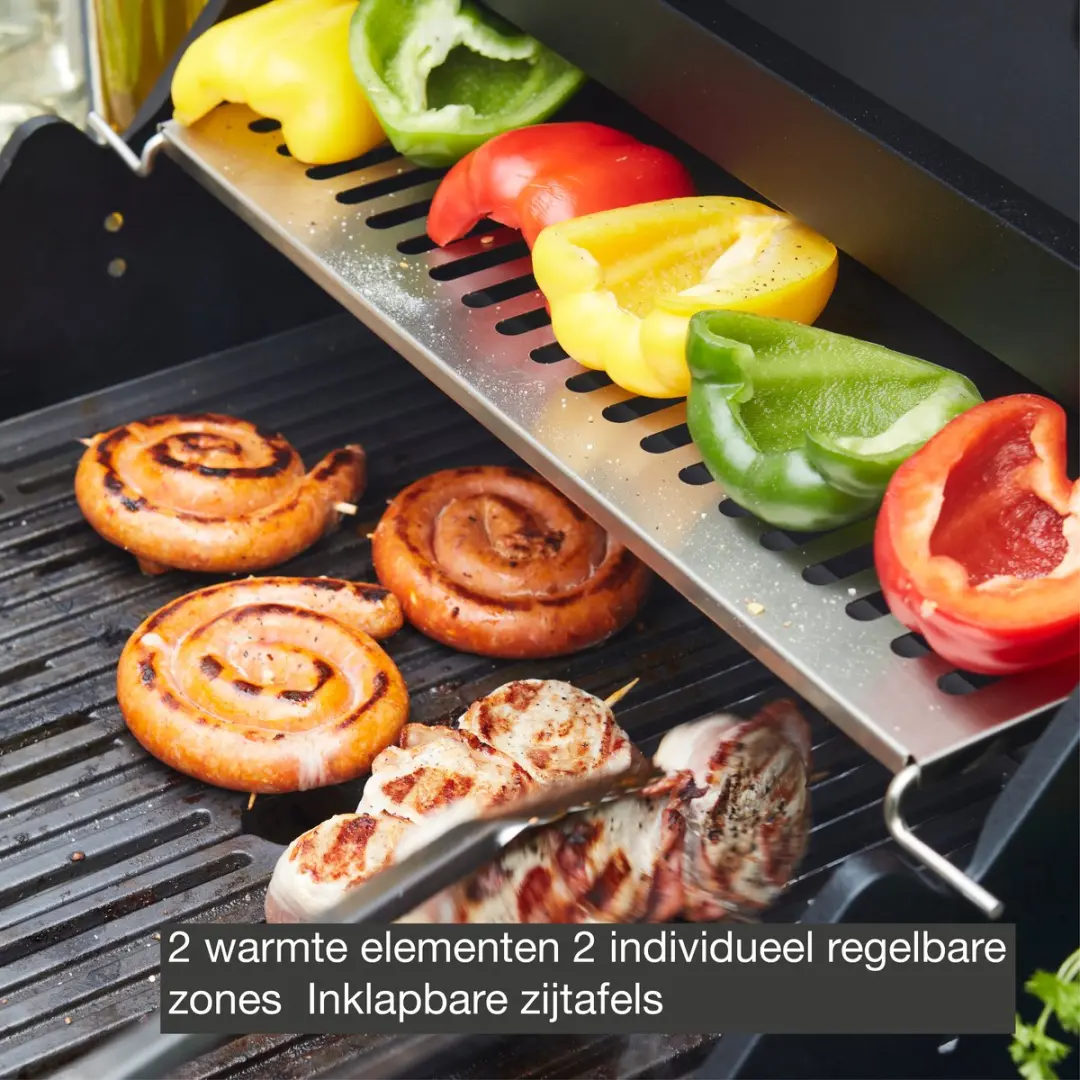 Barbecook E-Luca Elektrische Barbecue 2 Branders - 8 Burgers