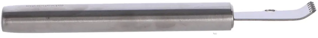 Brabantia Profile Citrusrasp RVS 250347