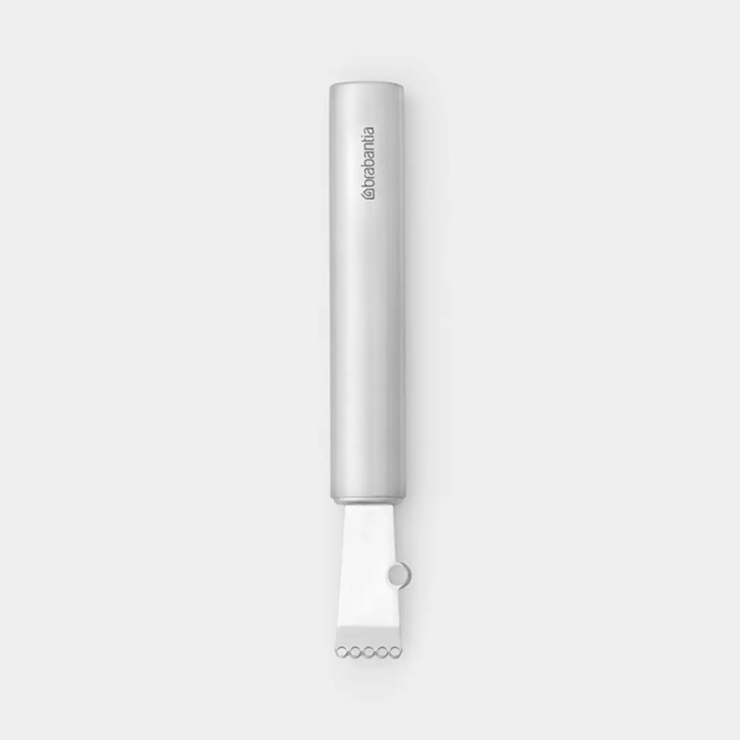 Brabantia Profile Citrusrasp RVS 250347