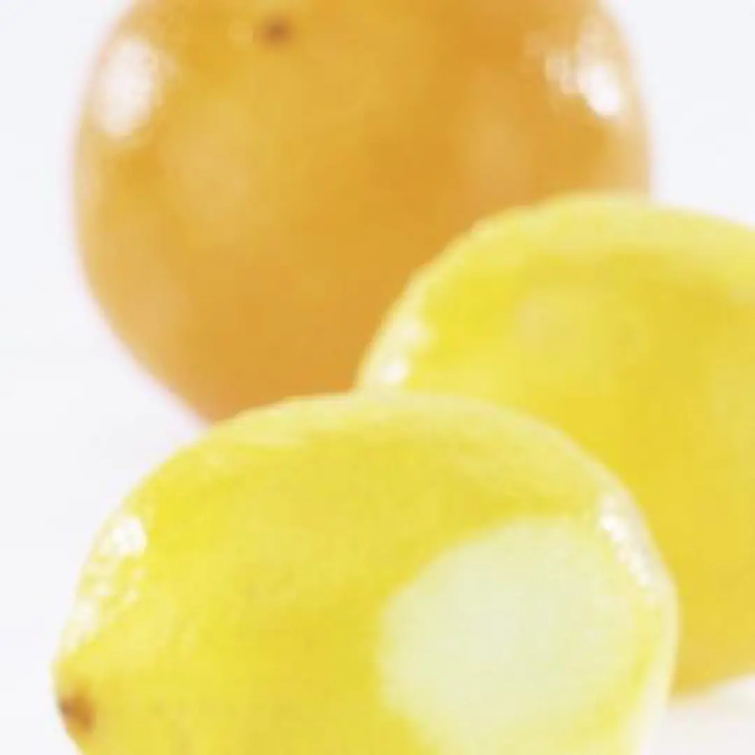 GEFU Zesta Zesteur - Citruszester RVS