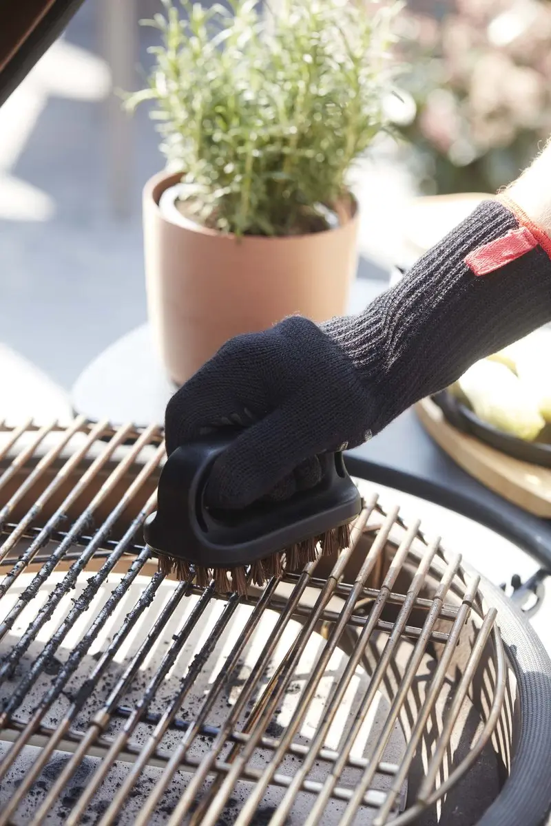 Barbecook Olivia Premium Borstel - Palmhaar - Zwart