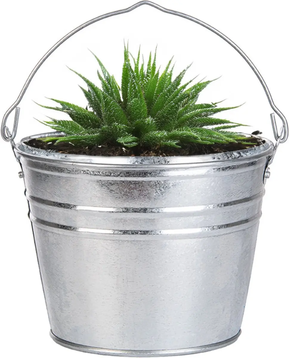 Esschert Design Zinken Plantenpot Ø25cm