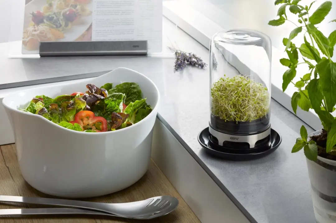 GEFU Bivita Sprossenglas 13cm - 0.40l - Zwart
