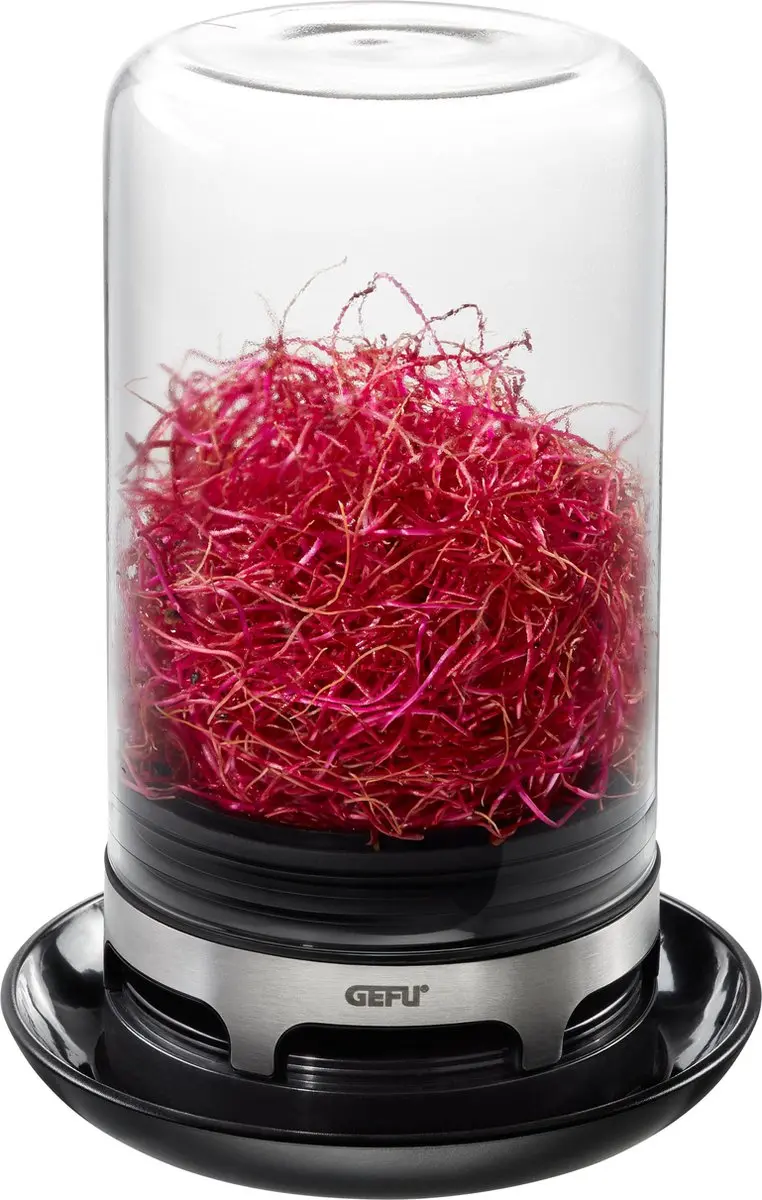 GEFU Bivita Sprossenglas 13cm - 0.40l - Zwart