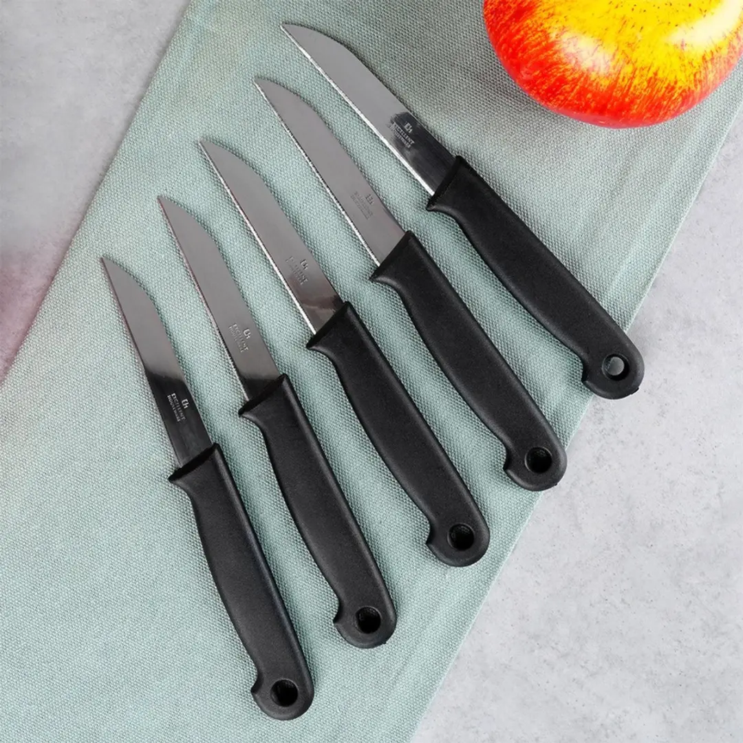 Excellent Houseware Schilmessen 5-delig - 16cm - Zwart