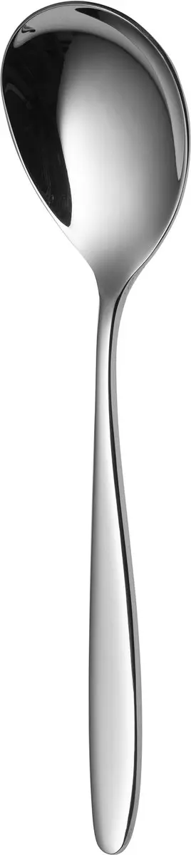 Sola Tulip Saladelepel