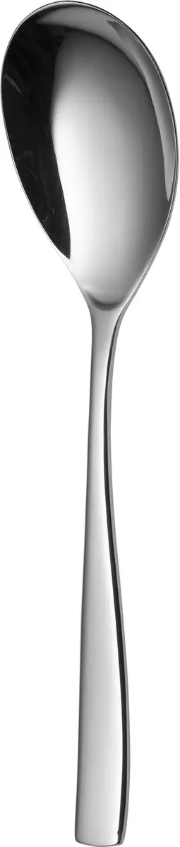Sola Serveerlepel Lotus 11LOTU 205