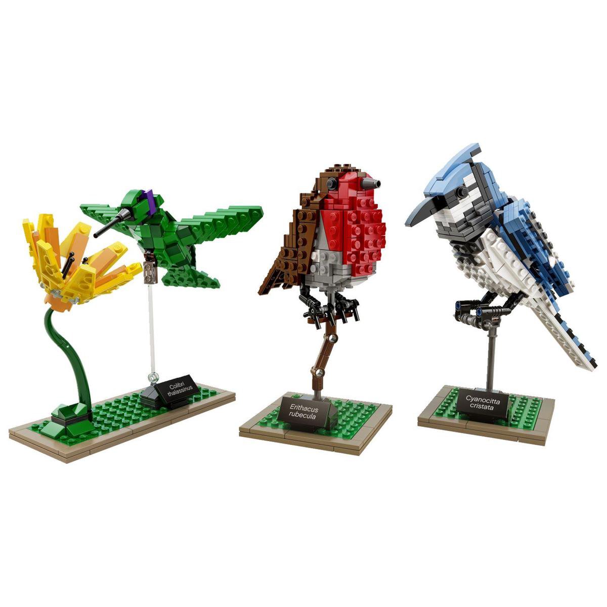 LEGO Ideas Vogels - 21301